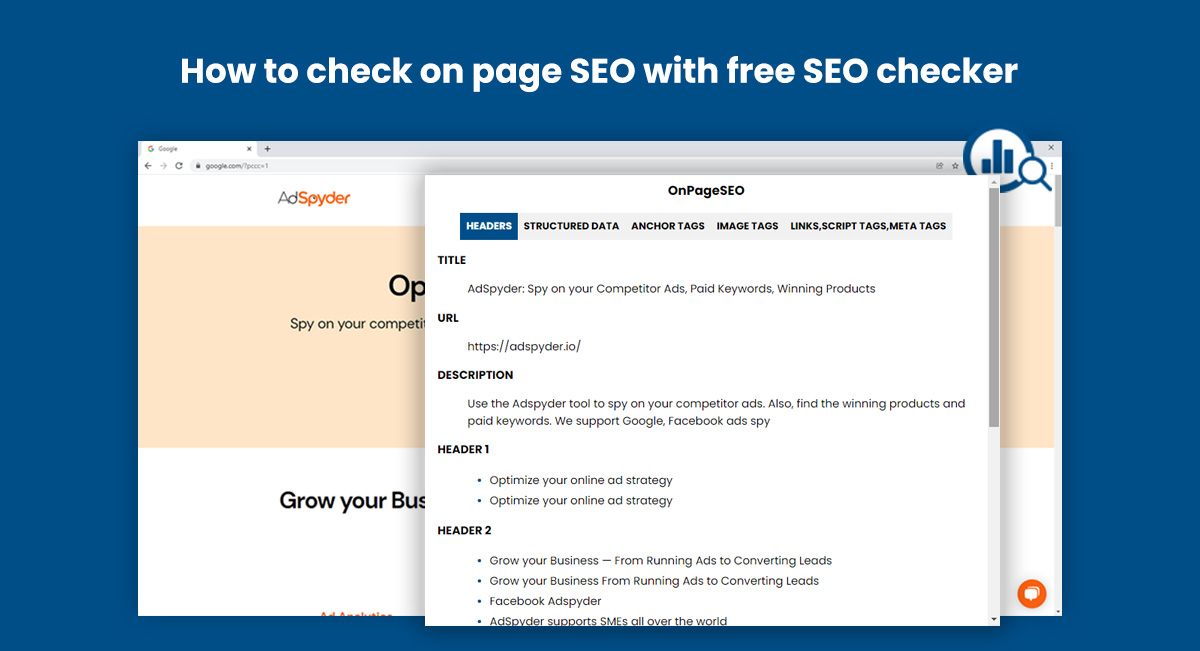 seo check gratis